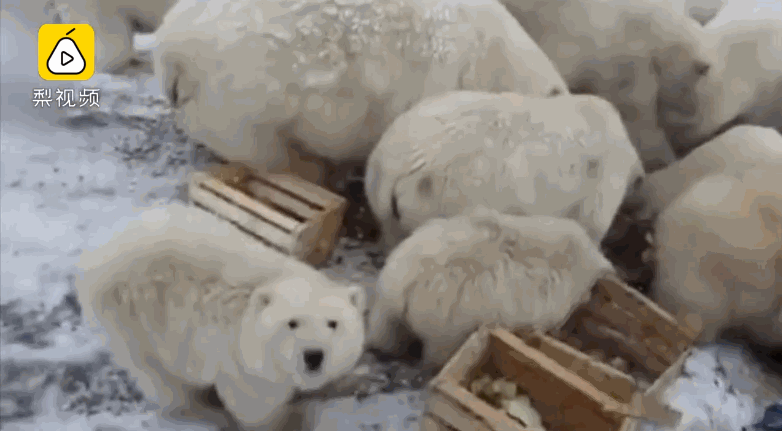 科技强国从升级镜头开始