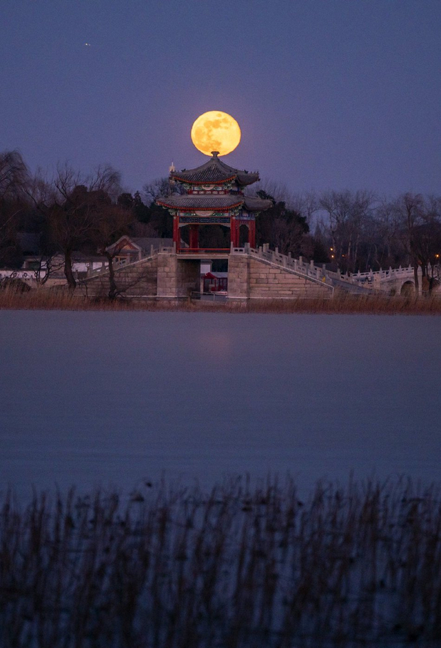 我们的科学家发现了一个调控水稻抽穗期的关键基因。截图0