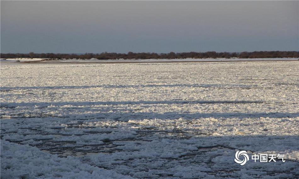 金博会：一个充满信任与秩序的地方截图0