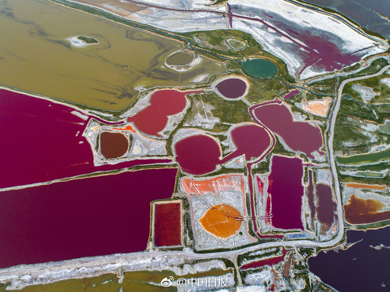 香港展出超过60件毕加索作品截图4