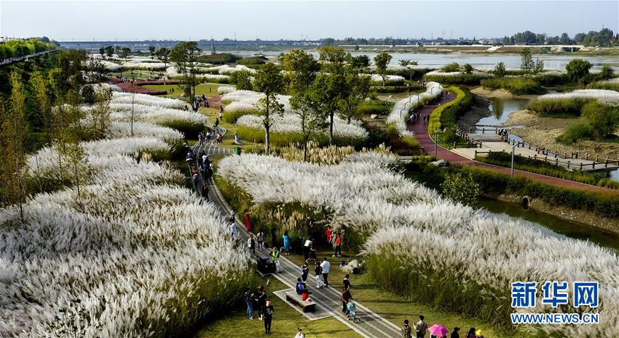 一支海军分遣队进行了海上补给训练。截图3