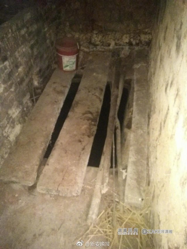 宏伟蓝图激发斗志；坚定立场，做出新的贡献。截图2