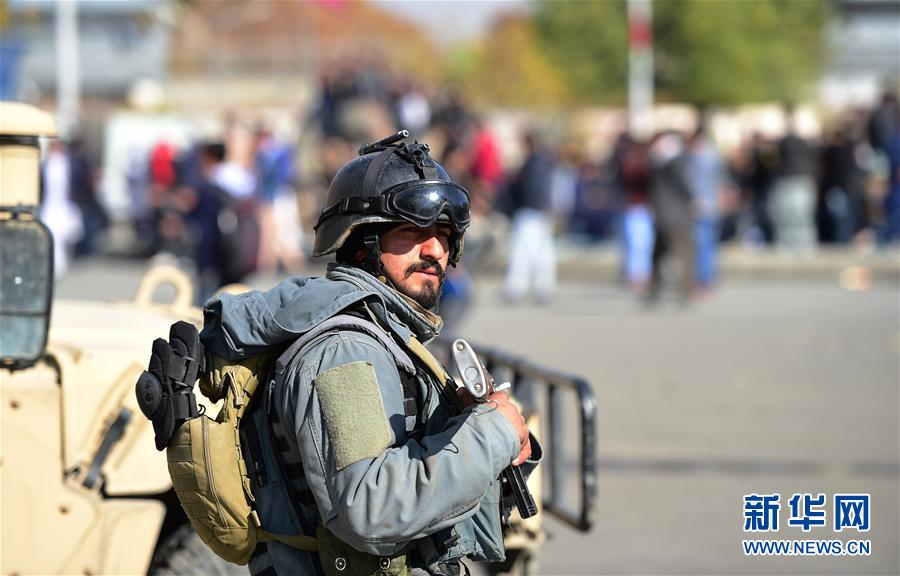 2025年全国粮食和物资储备科技活动周启动截图3