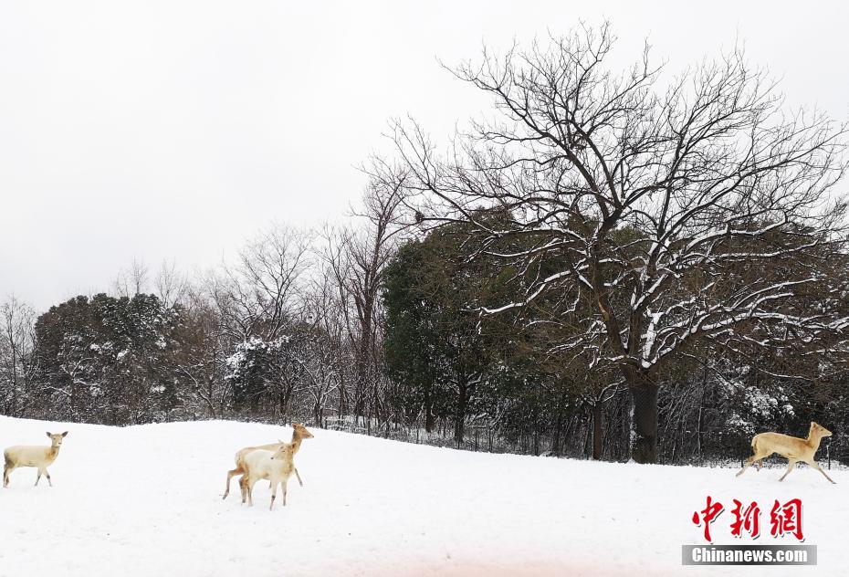 专注于提升全媒体时代的工作方式和写作风格截图0
