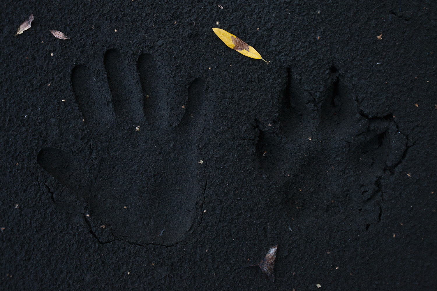 香港——赛马界以喜庆的气氛庆祝国庆节。截图4