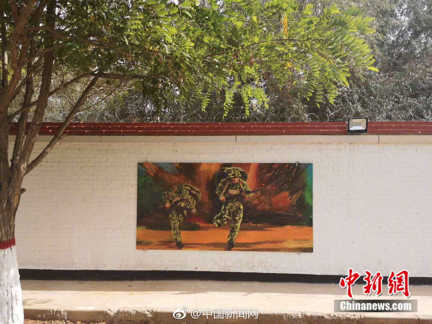 走进钱学森图书馆，感受科学大师的精神力量。截图2