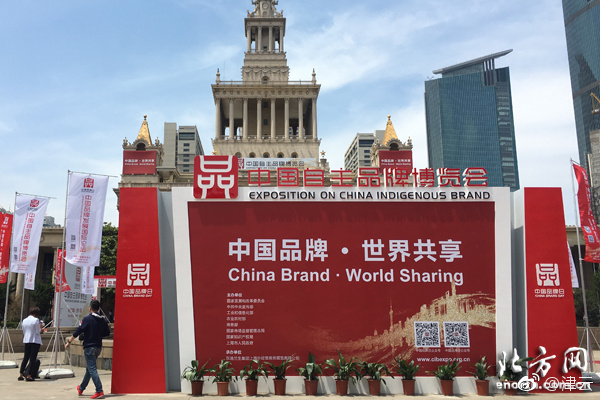 张咏梅代表：构建协同育人教育体系截图2