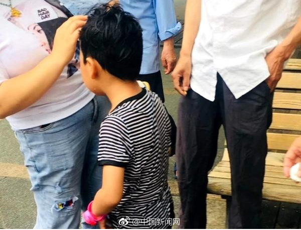 在保护农田的过程中，一寸耕地都不能减少。截图4