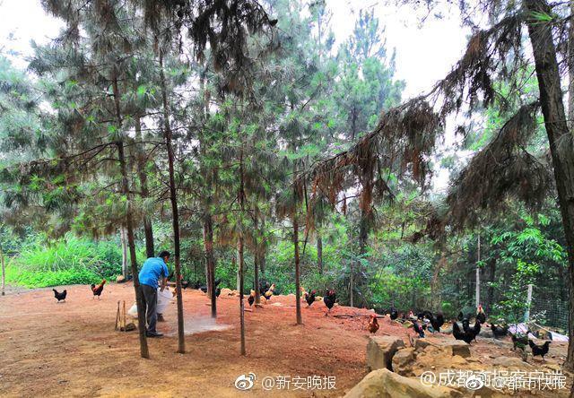 2024年媒体社会责任报告发布截图4