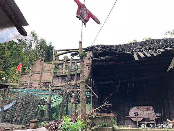 “中国的绿色创新既造福本国，也造福世界”（《国际社会对中国“十四五”规划成就的展望》）截图0