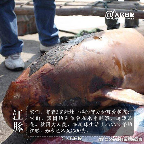 浙江省委、省政府已追究83人的责任，其中包括3名部门_局级官员。截图0