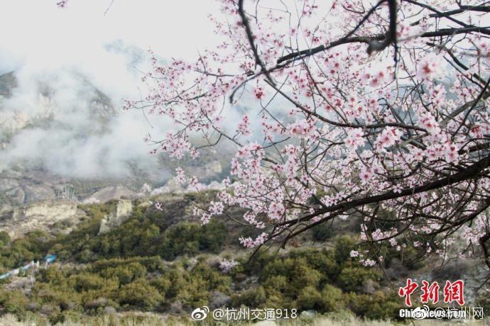 在保护农田的过程中，一寸耕地都不能损失。截图0