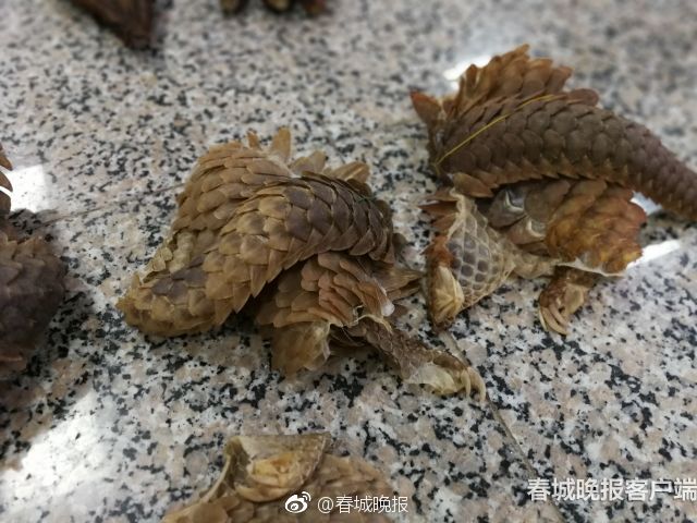 卡尔汗盐湖风景名胜区的年游客数量已超过100万人次。截图2