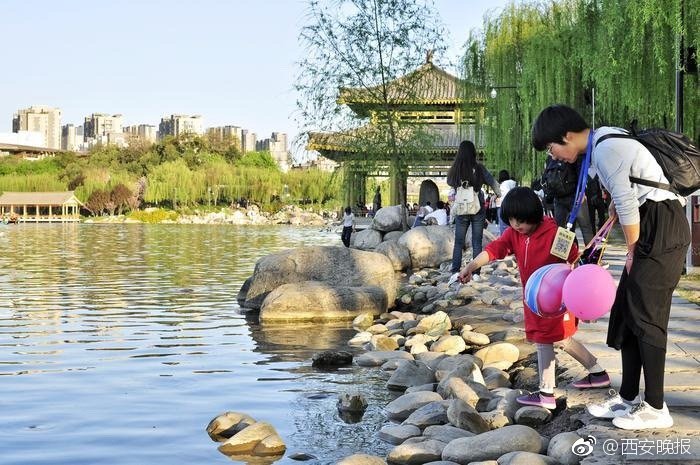 香港举办植树日活动截图4