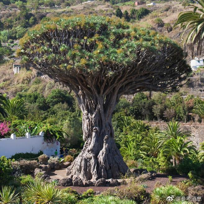 淮河流域河流湖泊的整体健康状况良好。截图0