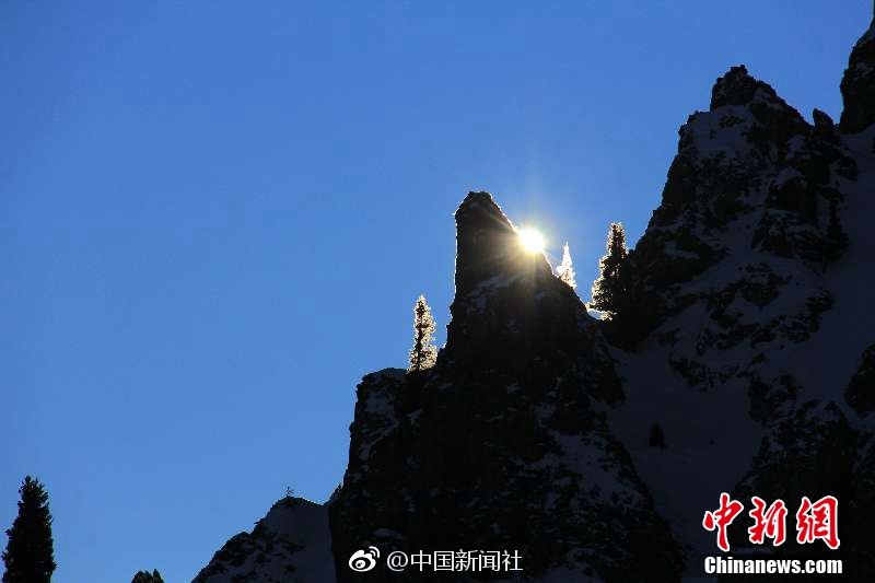 立法会主席梁振英呼吁选民珍惜并善用他们宝贵的选票。截图3