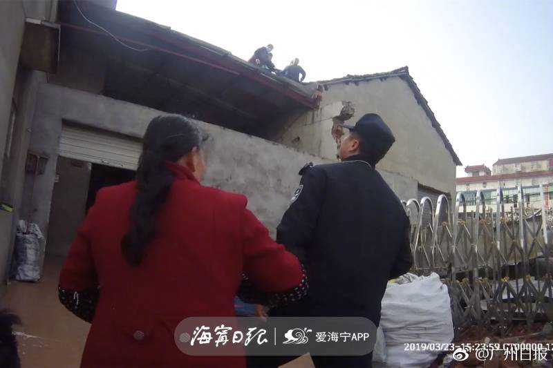 “china travel”持续火热 重庆迎来入境游热潮截图0