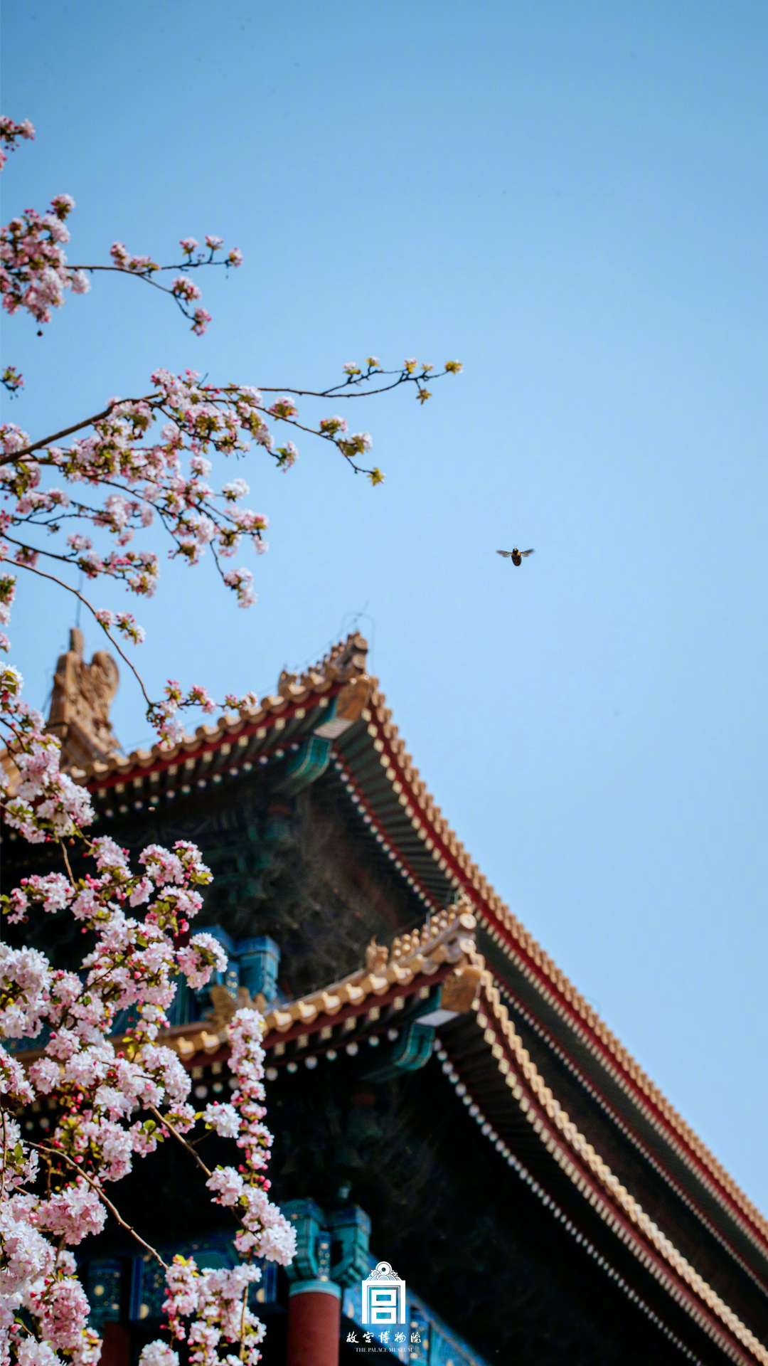 《生态环境法》污染防治部分草案将提交第二次审查：其目的是进一步落实违法行为与处罚相称的原则。截图3