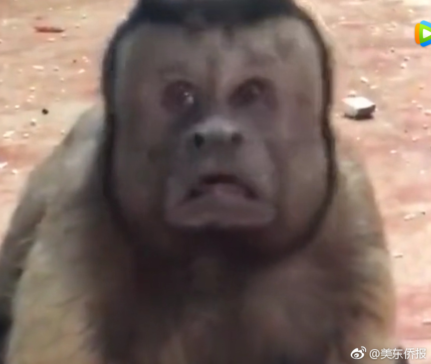 国家发展和改革委员会指出，对于氧化铝、铜冶炼等资源受限行业而言，关键在于加强管理和优化产业布局。截图4