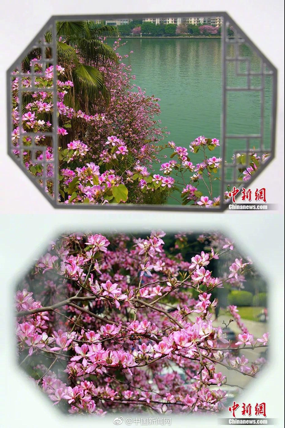 什么年代了，还在传统制卡