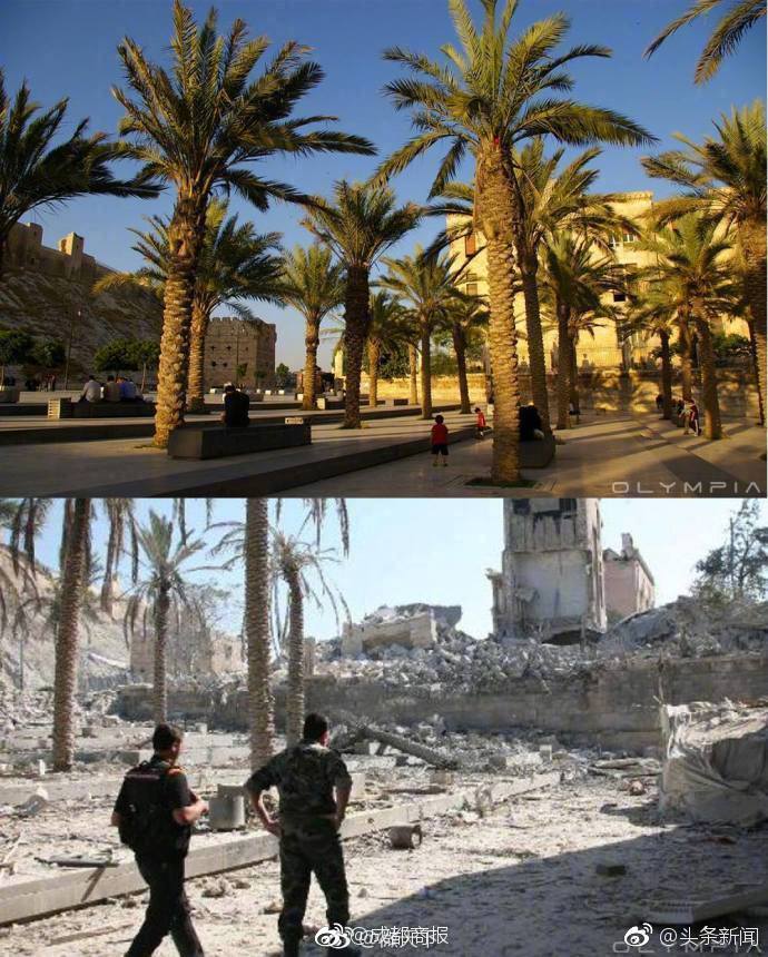 三北防护林带项目荣获全球林业技术成就奖。截图1