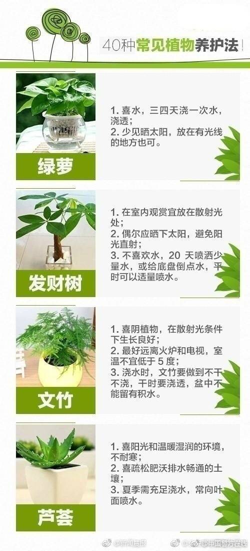 抗战之我每天一个签到大礼包