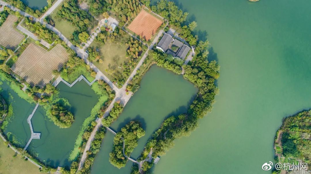 石光集：海南自由贸易港全岛关关——“中国的改革开放是一条永无止境的道路”。截图4