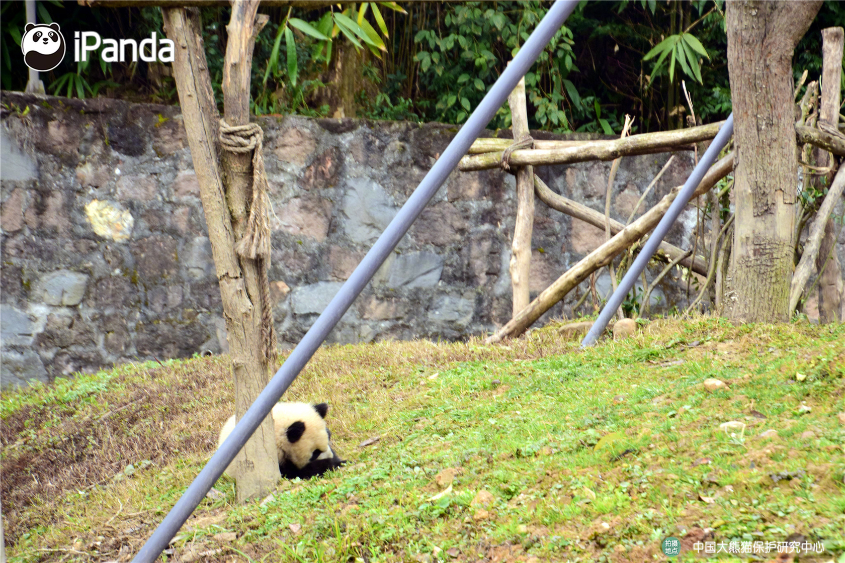 技术助力种子产业复兴截图0
