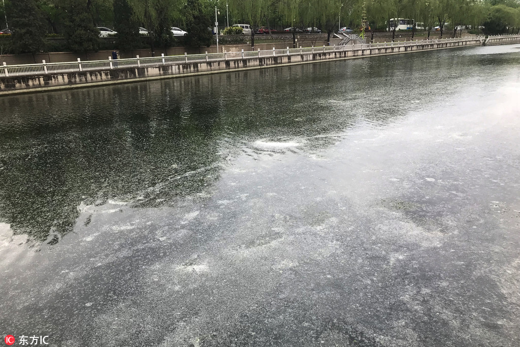 第十五届全国运动会 | 乒乓球：北京队夺得男子团体冠军截图3