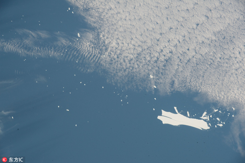 官府分配媳妇，这需要选？