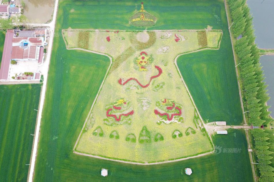 农业机械在小麦收割中展现了其价值。截图3