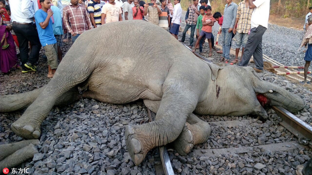 第二届中国—葡语国家博览会将于10月下旬开幕，重点关注中国与葡语国家合作的六大重点产业。截图1