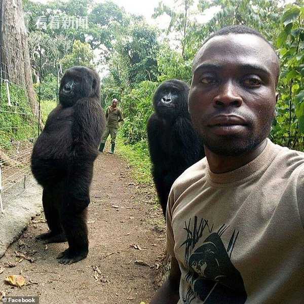 中国考古学会第22届年会在银川举行。截图2