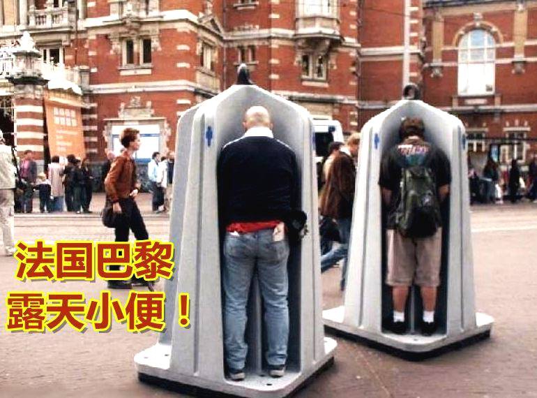 只有了解自身情况，才能更好地加强农业，振兴乡村。截图0