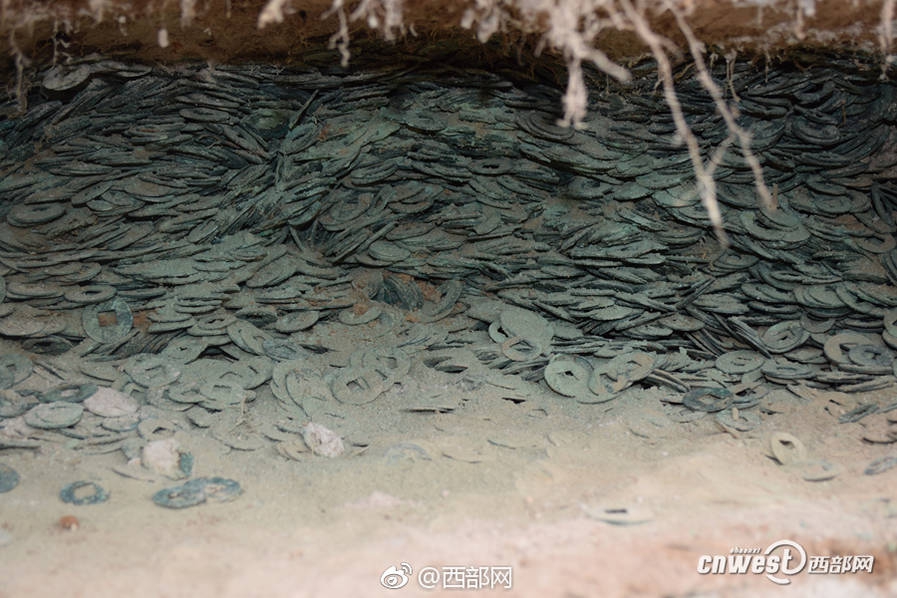 宏伟蓝图激发斗志；坚定立场，做出新的贡献。截图3