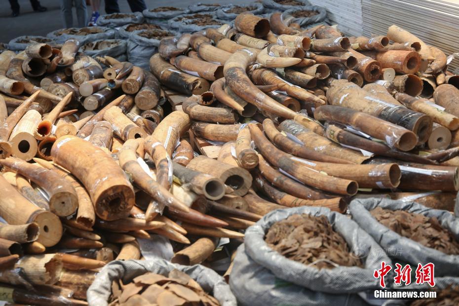 为了最大限度地提高消费并促进经济循环顺畅。截图3