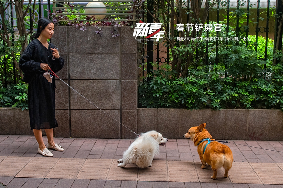 香港捐赠20吨救援物资赈济缅甸灾民截图2