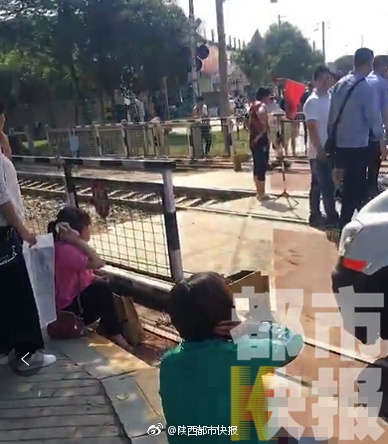 澳门首辆纯电动巴士投入运营，进一步提升南光城铁的绿色公共交通系统。截图3