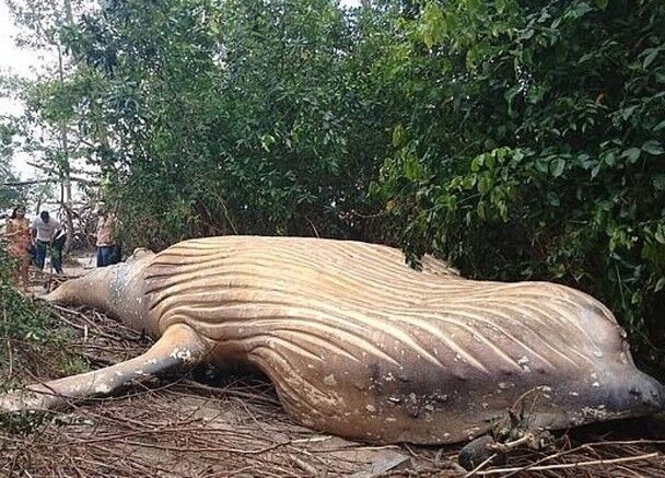 2025年中国经济运行与政策国际论坛在香港举行。截图4