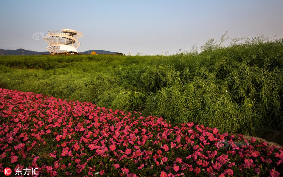 从“劏房”到香港体育馆的舞台，李家超赞扬了鼓舞人心的学生。截图2