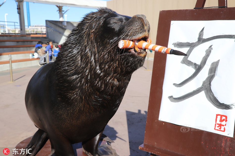 公安部表示，今年以来已侦办起诉环境资源领域22000起刑事案件。截图0