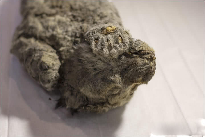 我们共同描绘了中国现代化进程中，昔日革命基地地区的风貌。截图0