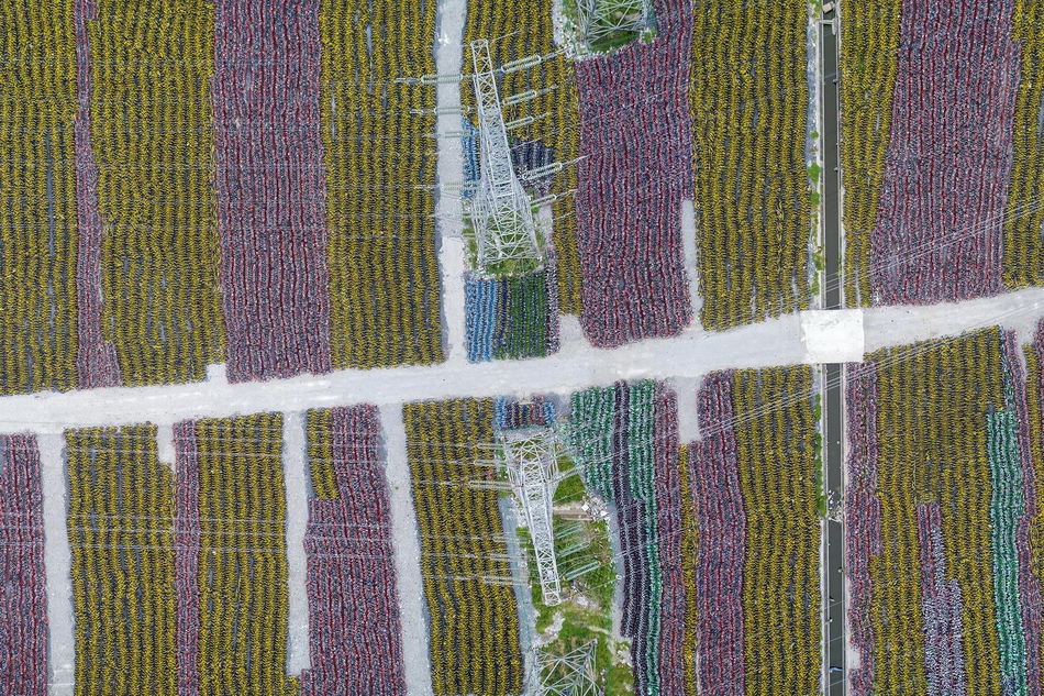 2025年全国粮食和物资储备科技活动周启动截图4