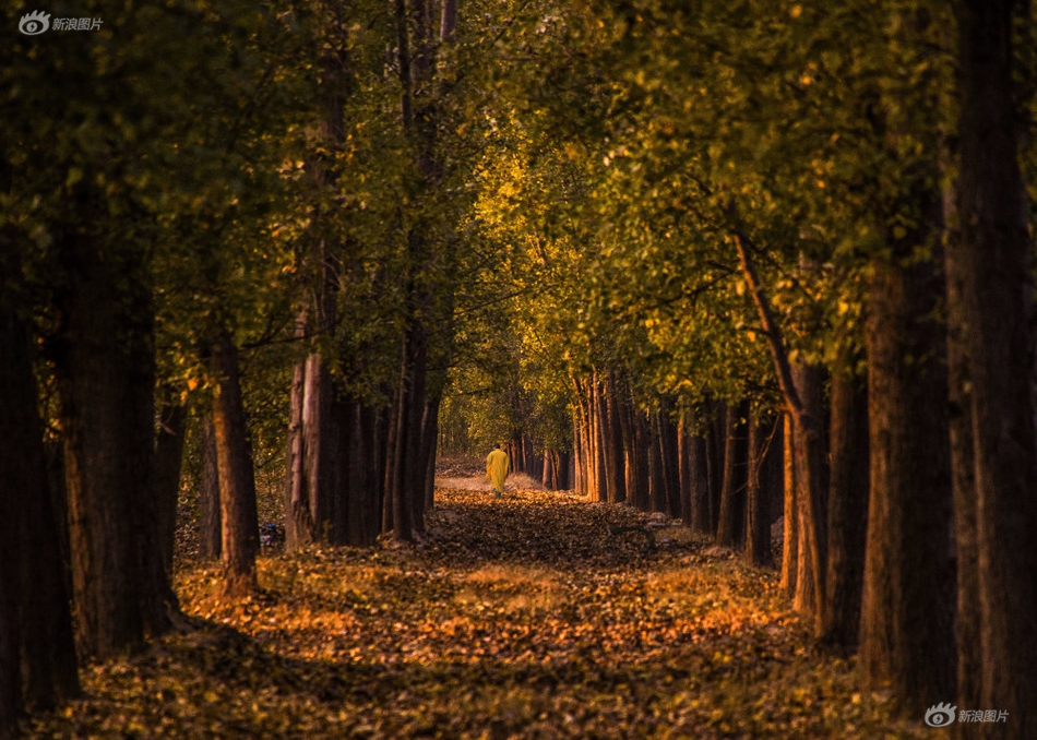 “新农民”在农村地区取得了长足进步。截图0