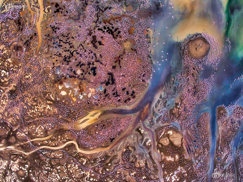 全运会 | 张占硕第五次获得金牌；王顺获得个人第19枚全运会金牌截图1