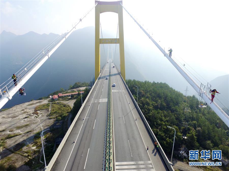 成为集体经济的优秀管理者。截图3