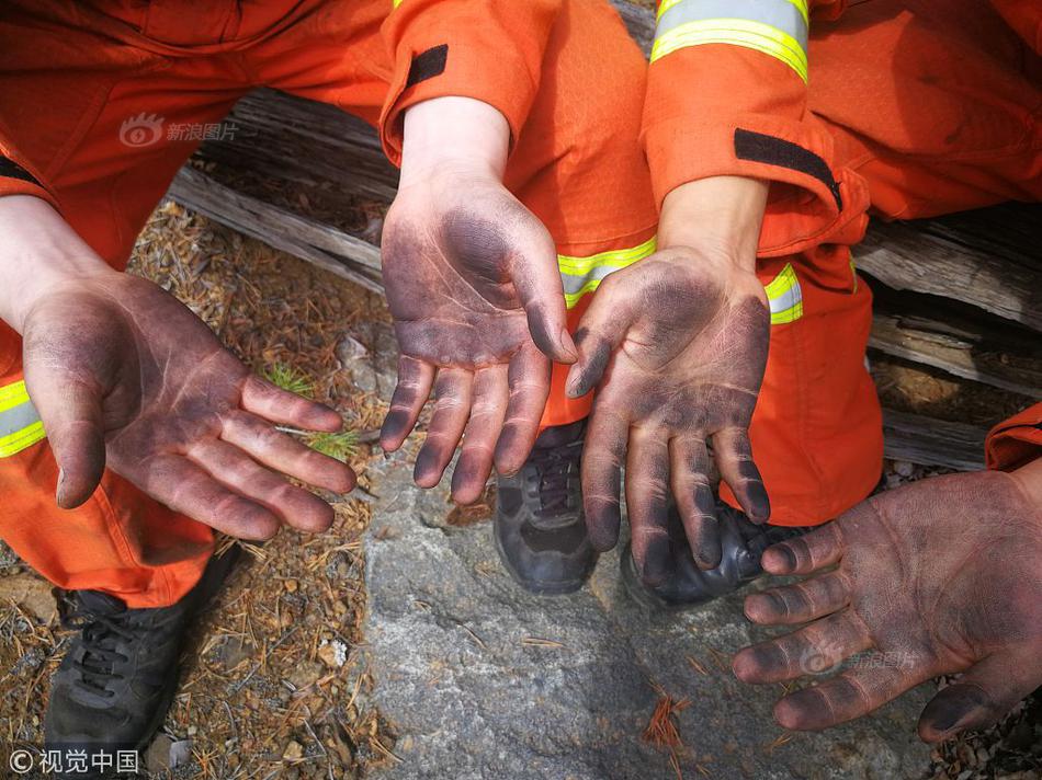 《粤港澳大湾区仲裁员名册工作指南》已发布。截图3