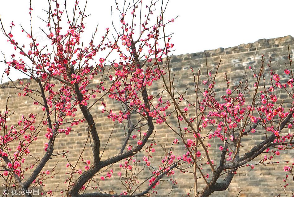 不可动摇的“根本优势”截图1