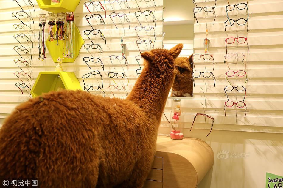 从俄罗斯的“老邻居”到北约的“新成员”截图0