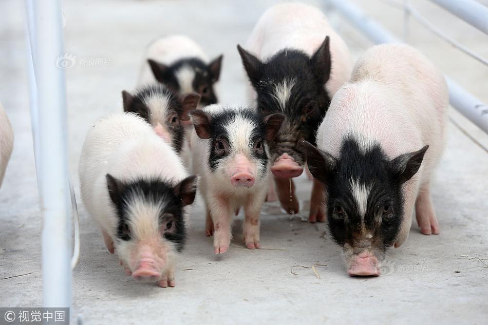 诡异世界生存手册